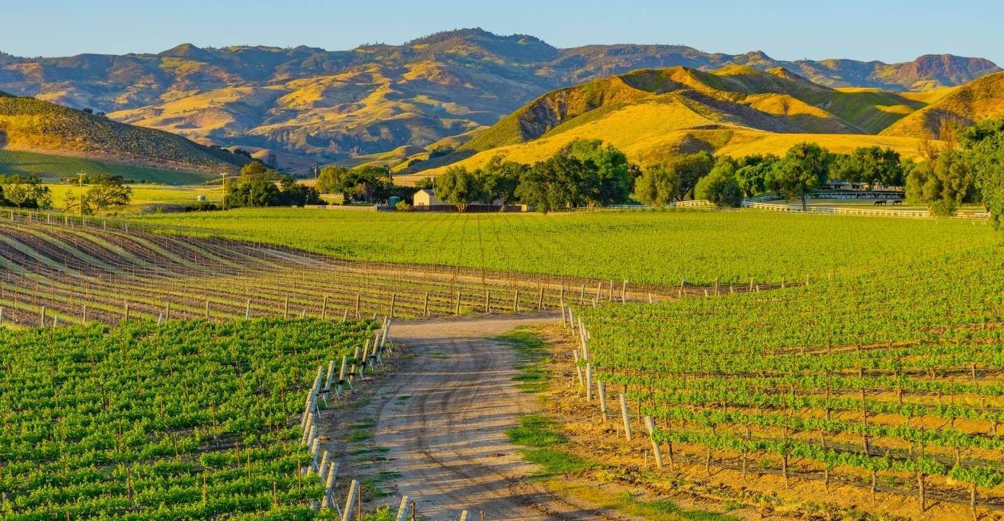Events-wine-country-drive-hero